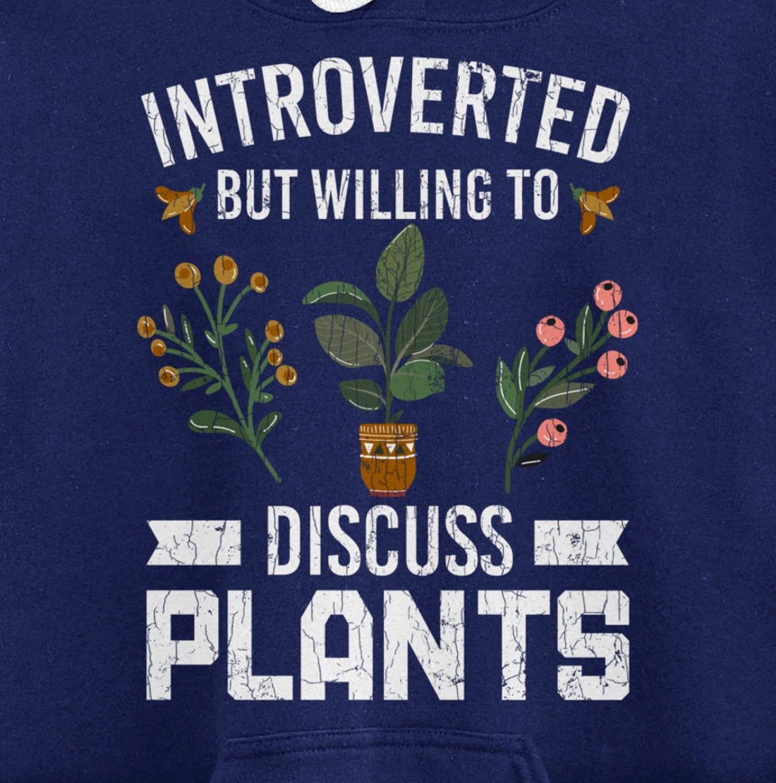 Introverted But Willing To Discuss Plants Funny Graphic Pullover Hoodie