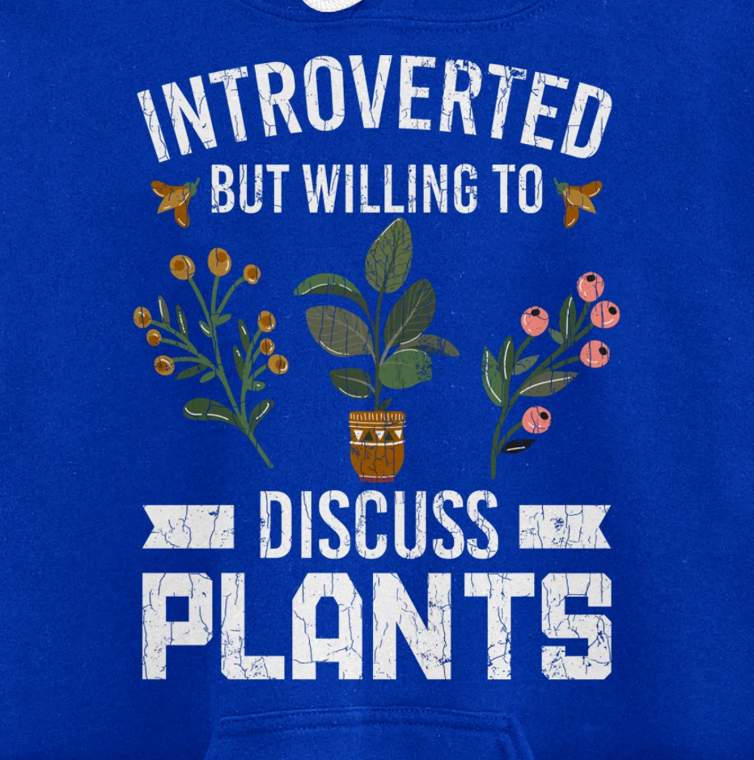 Introverted But Willing To Discuss Plants Funny Graphic Pullover Hoodie