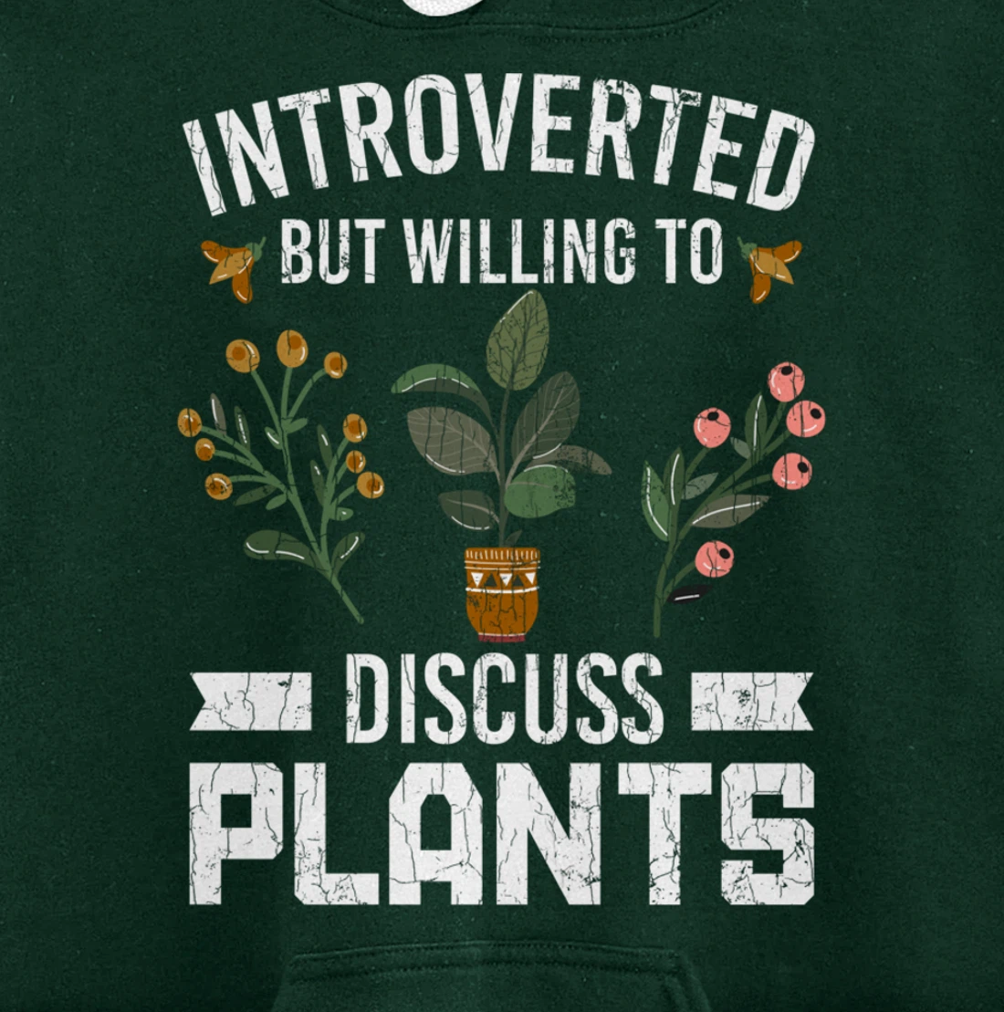 Introverted But Willing To Discuss Plants Funny Graphic Pullover Hoodie