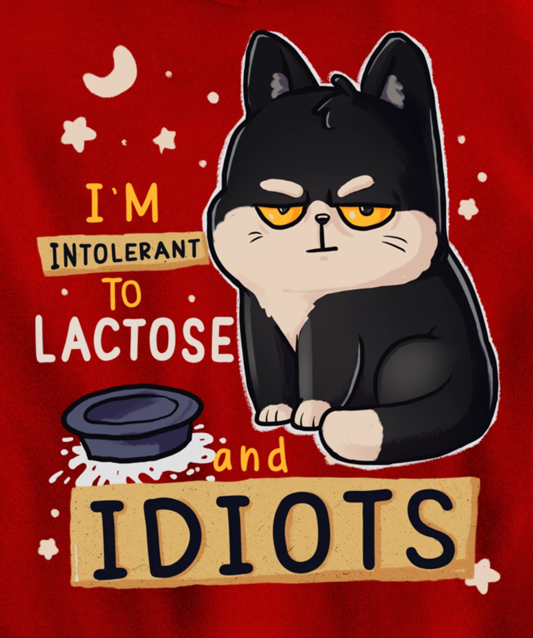 I’m Intolerant To Lactose And Idiots Sarcastic Cat Lover Pullover Hoodie