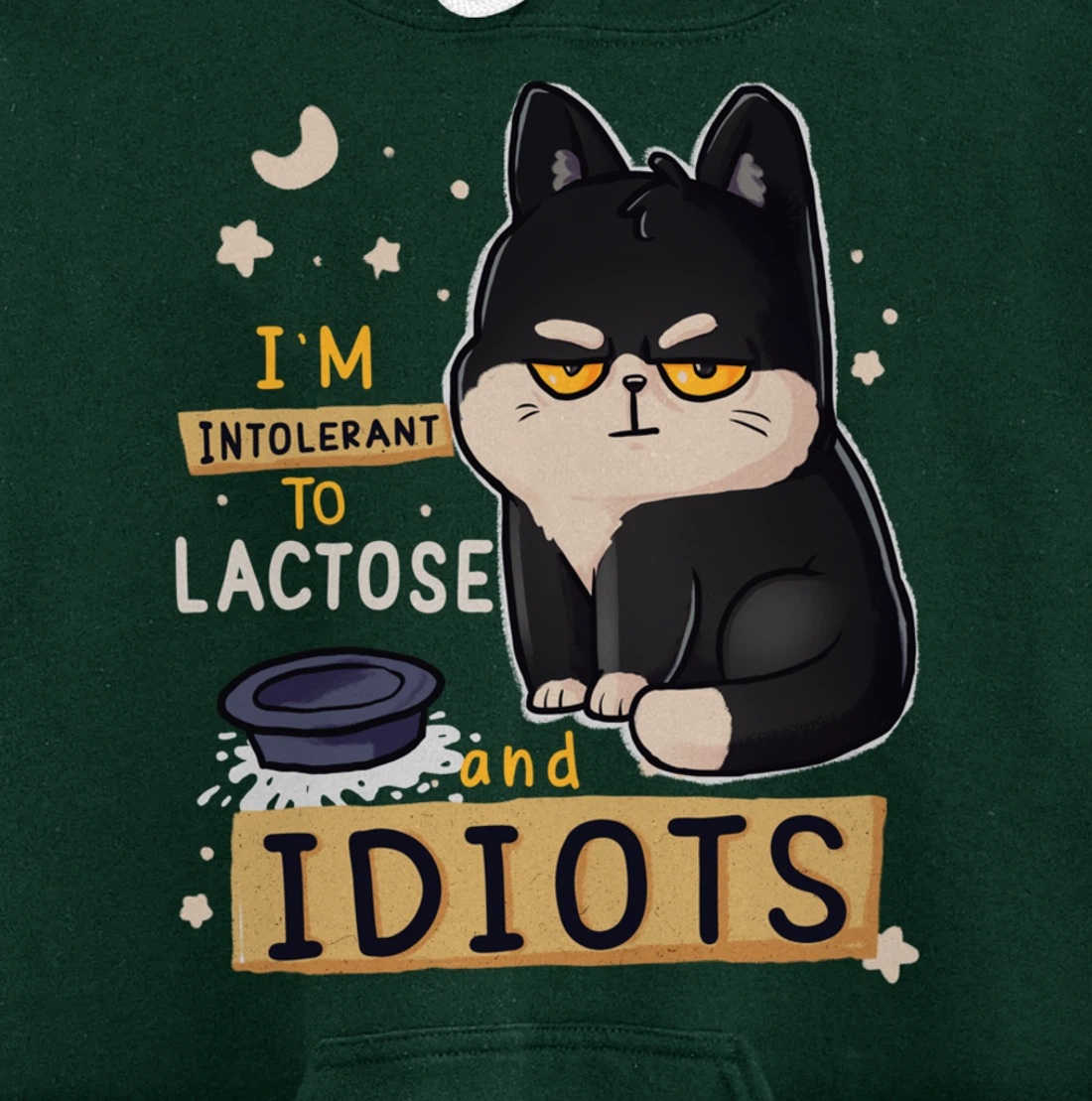 I’m Intolerant To Lactose And Idiots Sarcastic Cat Lover Pullover Hoodie