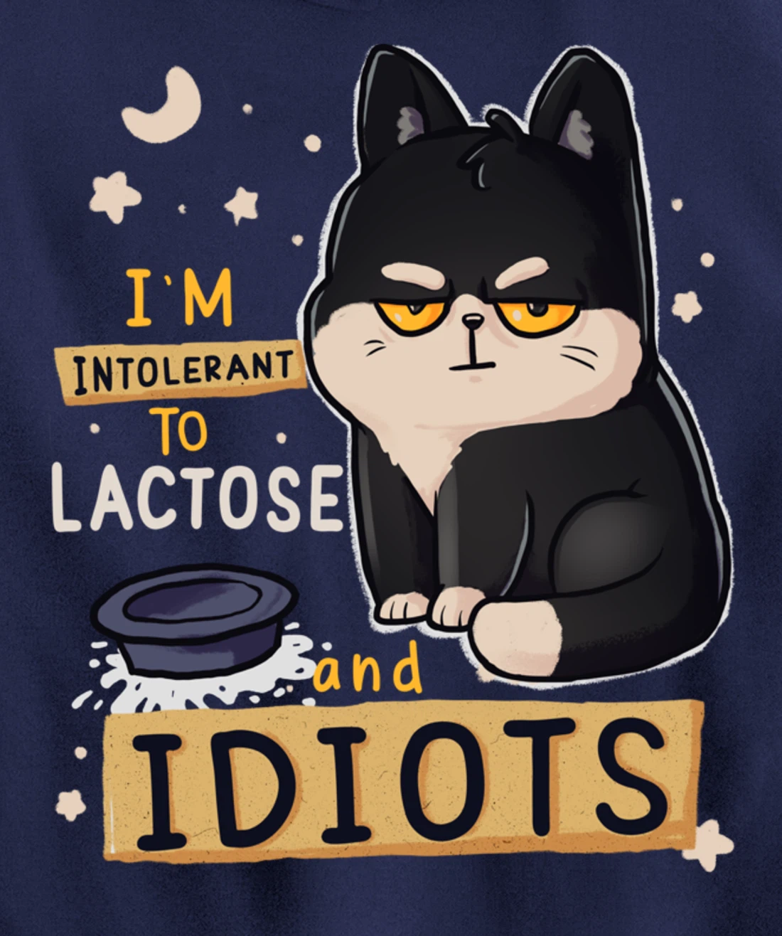 I’m Intolerant To Lactose And Idiots Sarcastic Cat Lover Pullover Hoodie