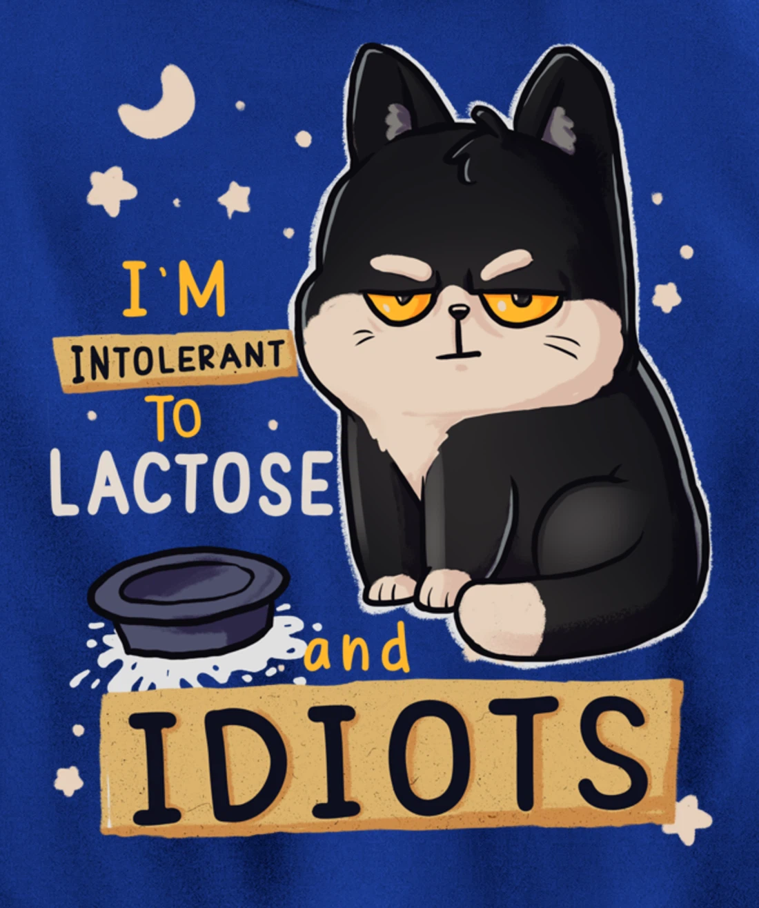 I’m Intolerant To Lactose And Idiots Sarcastic Cat Lover Pullover Hoodie