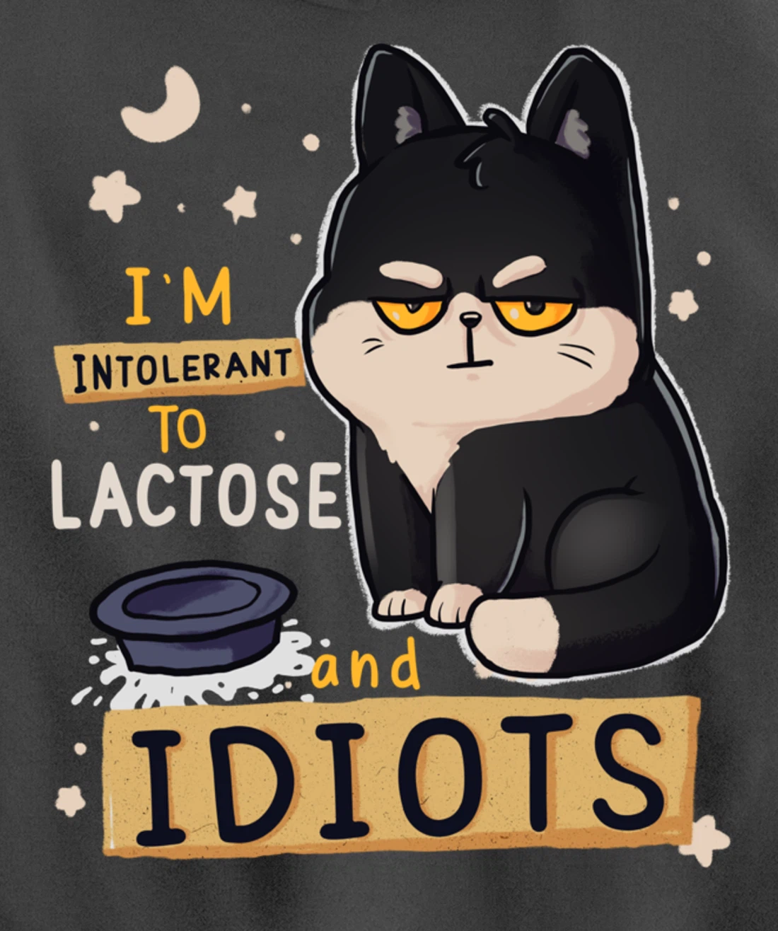 I’m Intolerant To Lactose And Idiots Sarcastic Cat Lover Pullover Hoodie