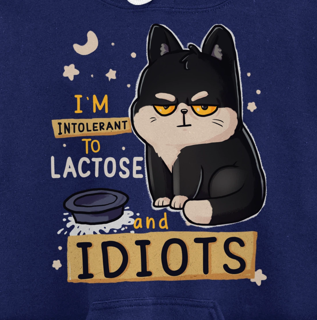 I’m Intolerant To Lactose And Idiots Sarcastic Cat Lover Pullover Hoodie