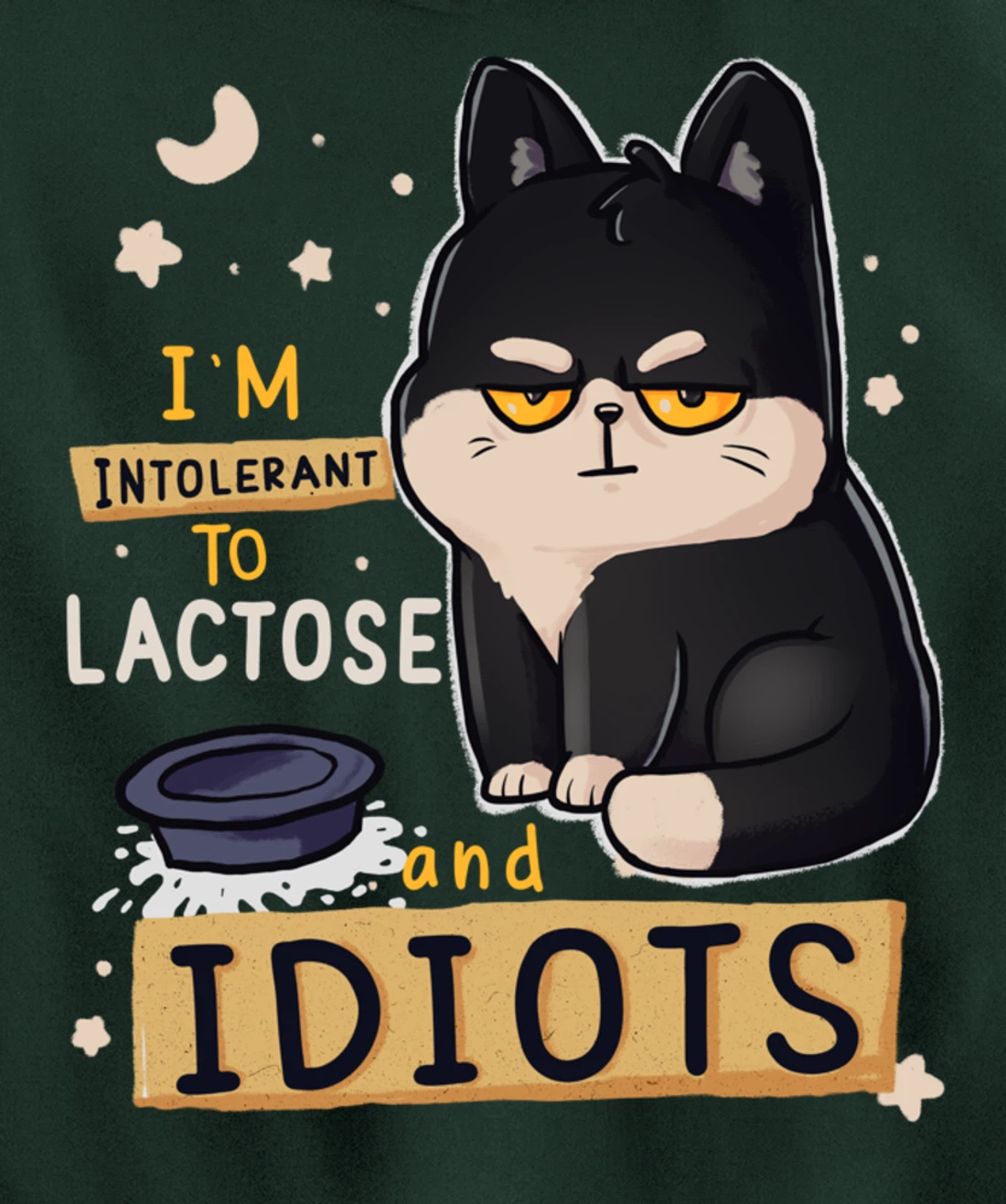 I’m Intolerant To Lactose And Idiots Sarcastic Cat Lover Pullover Hoodie