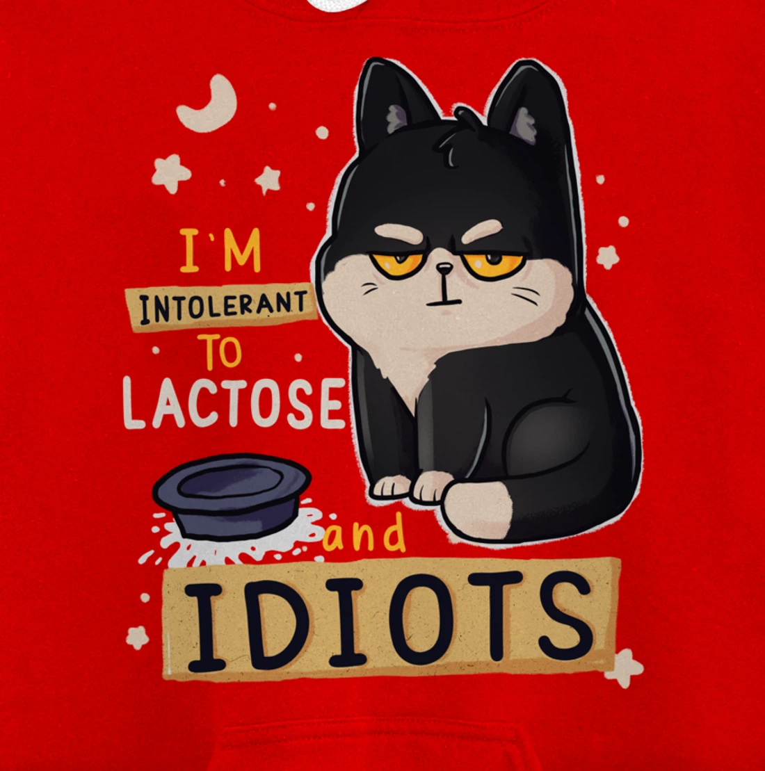 I’m Intolerant To Lactose And Idiots Sarcastic Cat Lover Pullover Hoodie