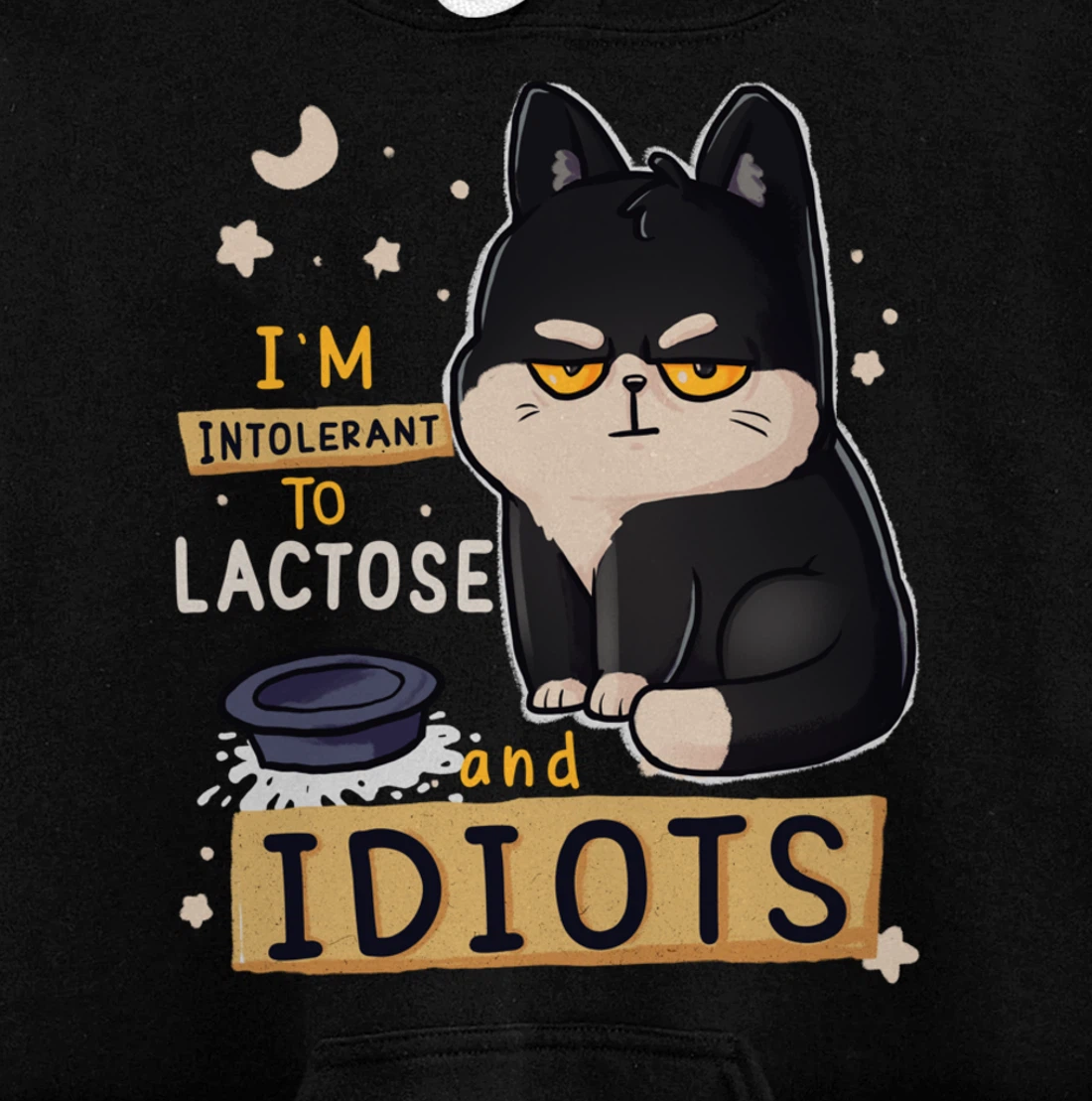 I’m Intolerant To Lactose And Idiots Sarcastic Cat Lover Pullover Hoodie