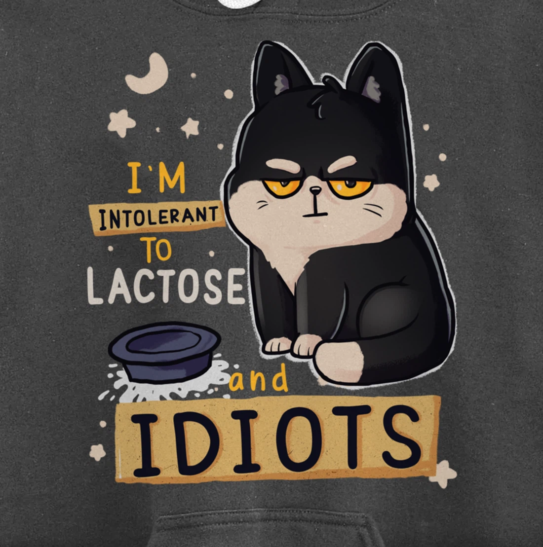 I’m Intolerant To Lactose And Idiots Sarcastic Cat Lover Pullover Hoodie