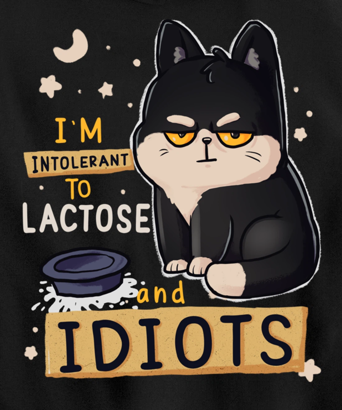 I’m Intolerant To Lactose And Idiots Sarcastic Cat Lover Pullover Hoodie
