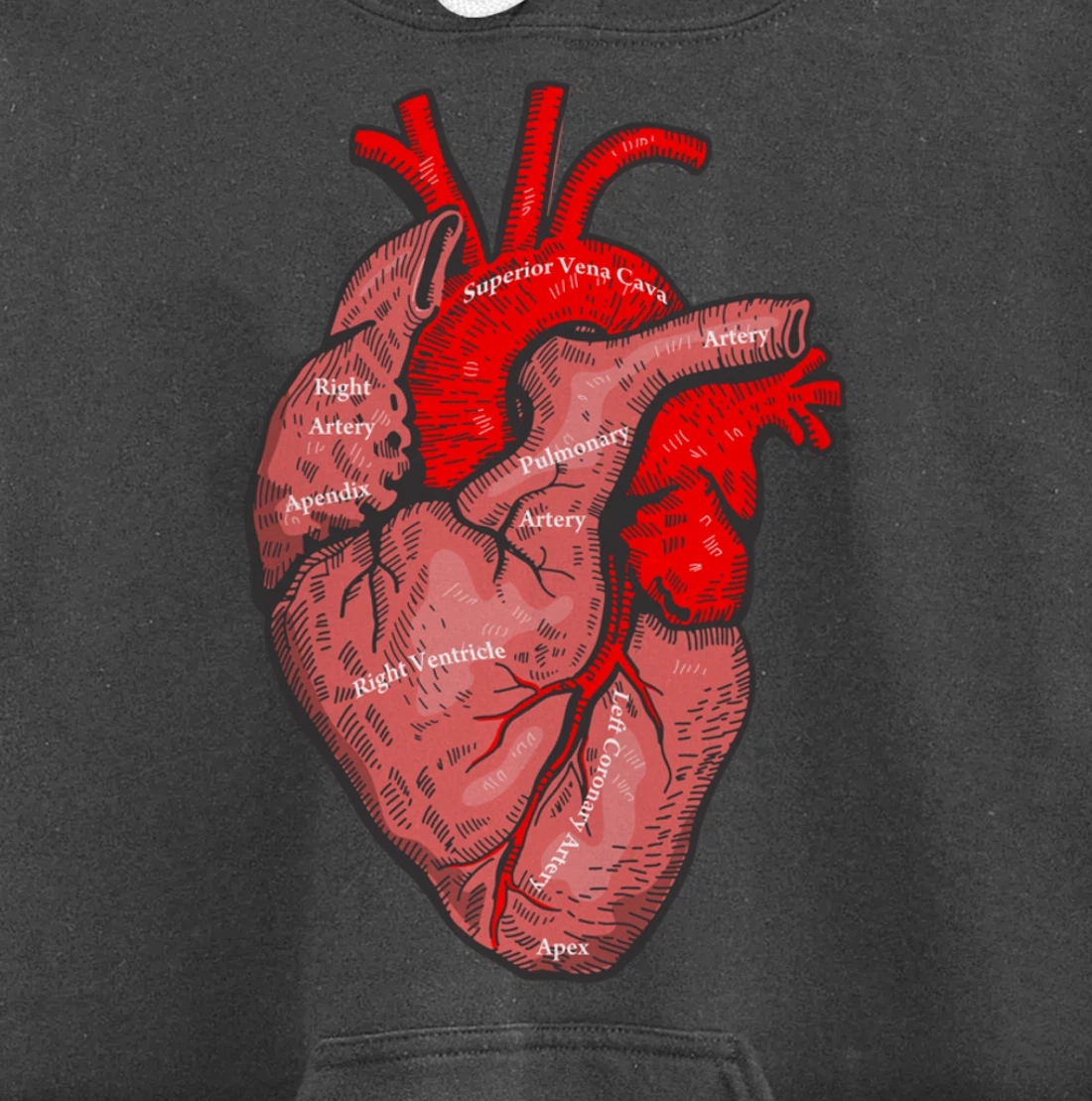 Medical Anatomy Illustration Human Heart Anatomical Themed Pullover Hoodie