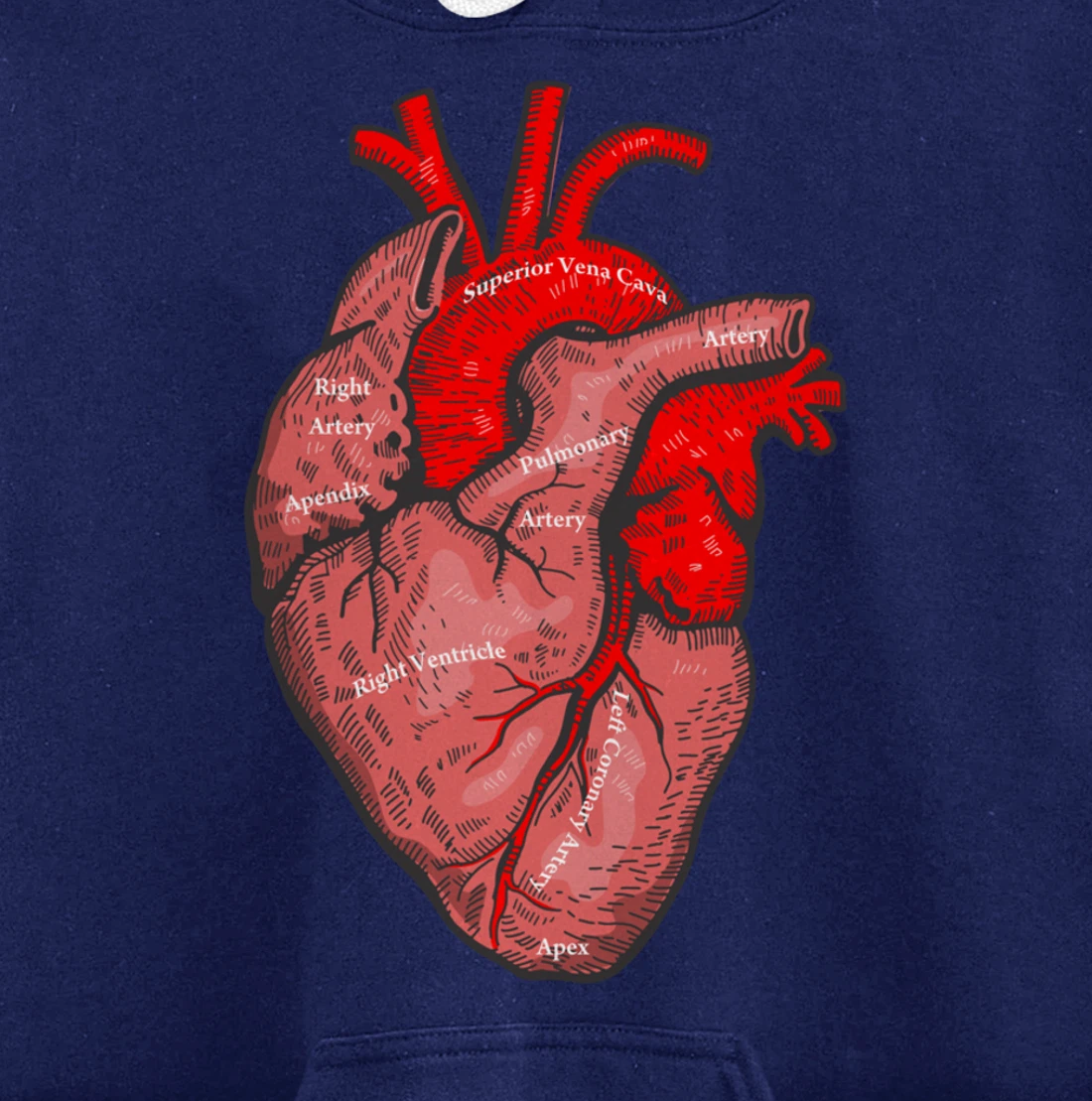Medical Anatomy Illustration Human Heart Anatomical Themed Pullover Hoodie