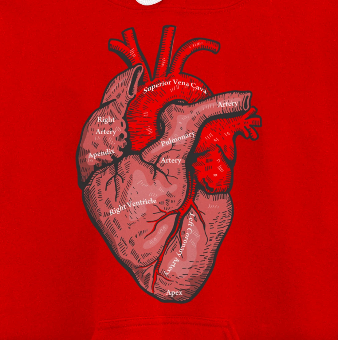 Medical Anatomy Illustration Human Heart Anatomical Themed Pullover Hoodie