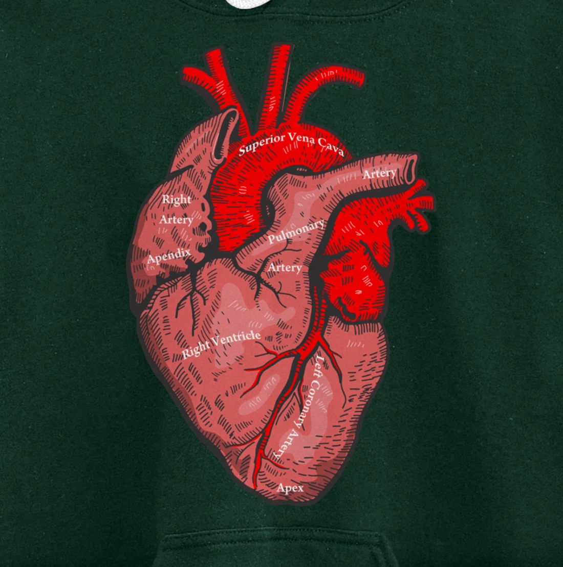 Medical Anatomy Illustration Human Heart Anatomical Themed Pullover Hoodie