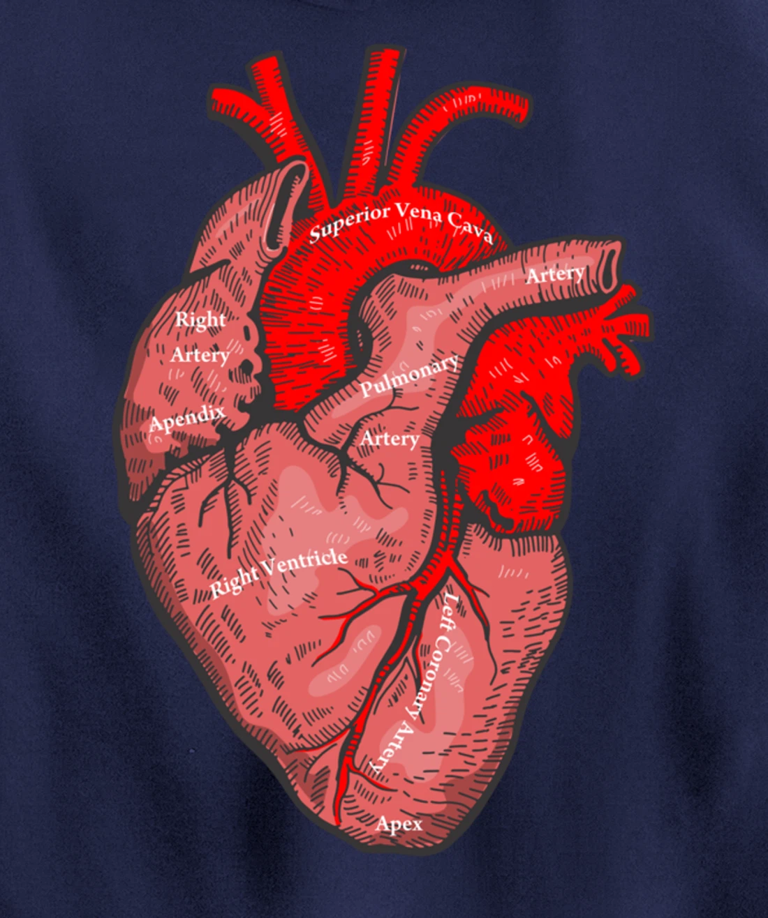 Medical Anatomy Illustration Human Heart Anatomical Themed Pullover Hoodie