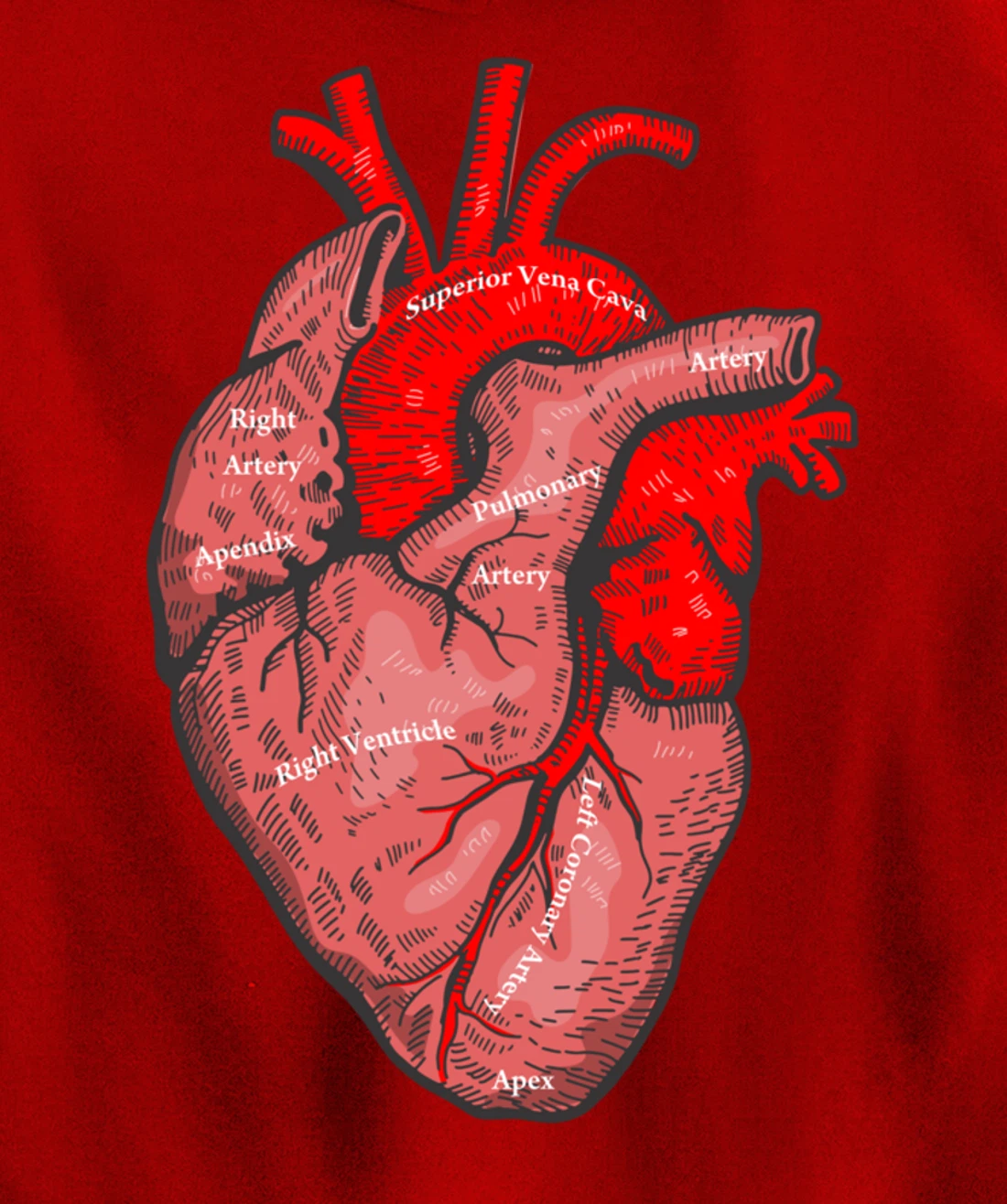 Medical Anatomy Illustration Human Heart Anatomical Themed Pullover Hoodie