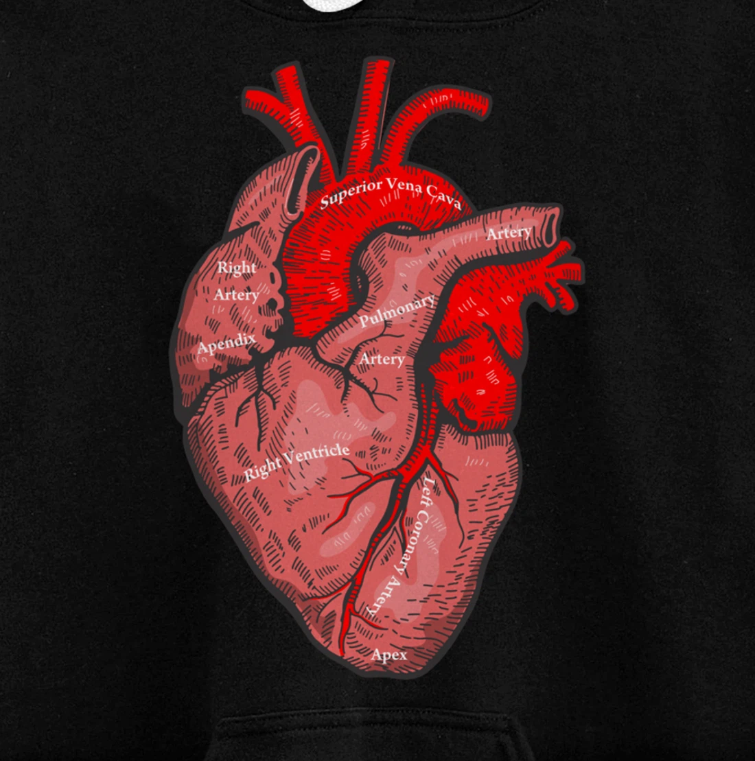 Medical Anatomy Illustration Human Heart Anatomical Themed Pullover Hoodie