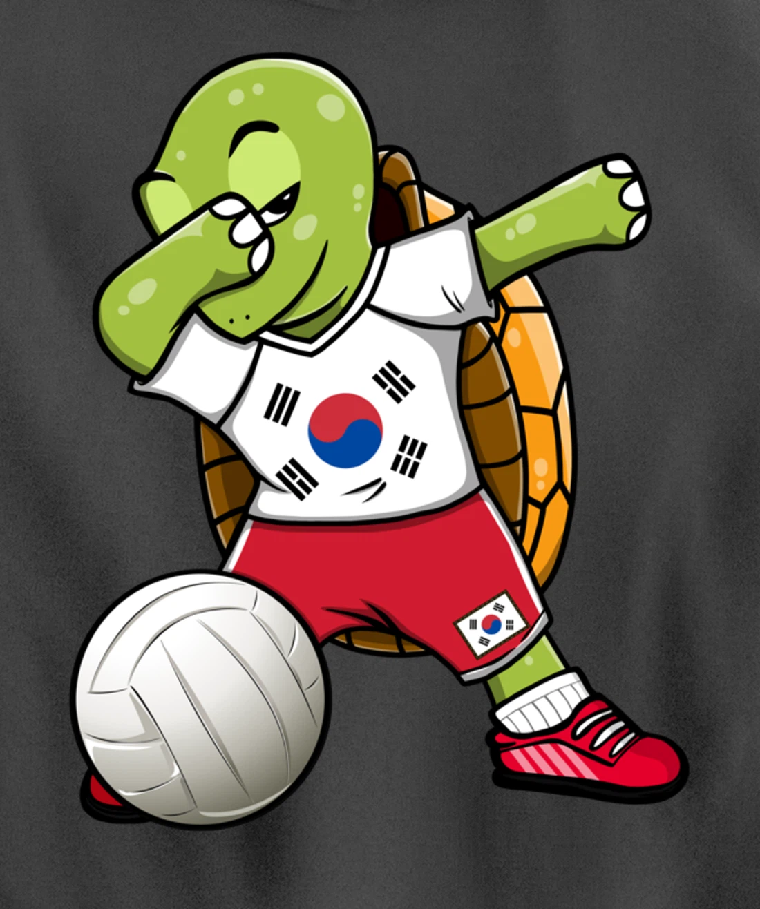 Dabbing Turtle South Korea Volleyball Fans Jersey Sport Flag Pullover Hoodie