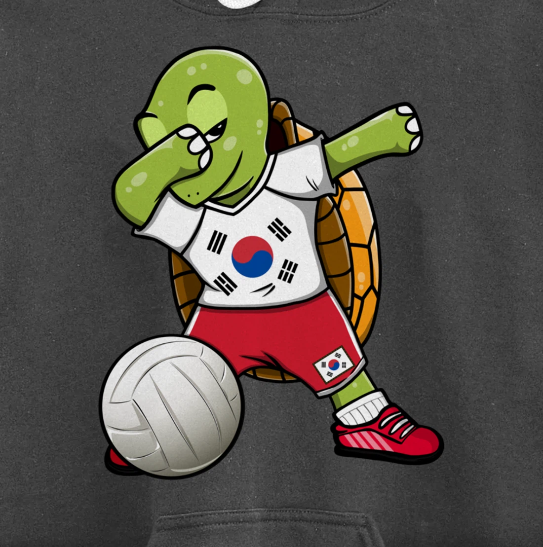 Dabbing Turtle South Korea Volleyball Fans Jersey Sport Flag Pullover Hoodie
