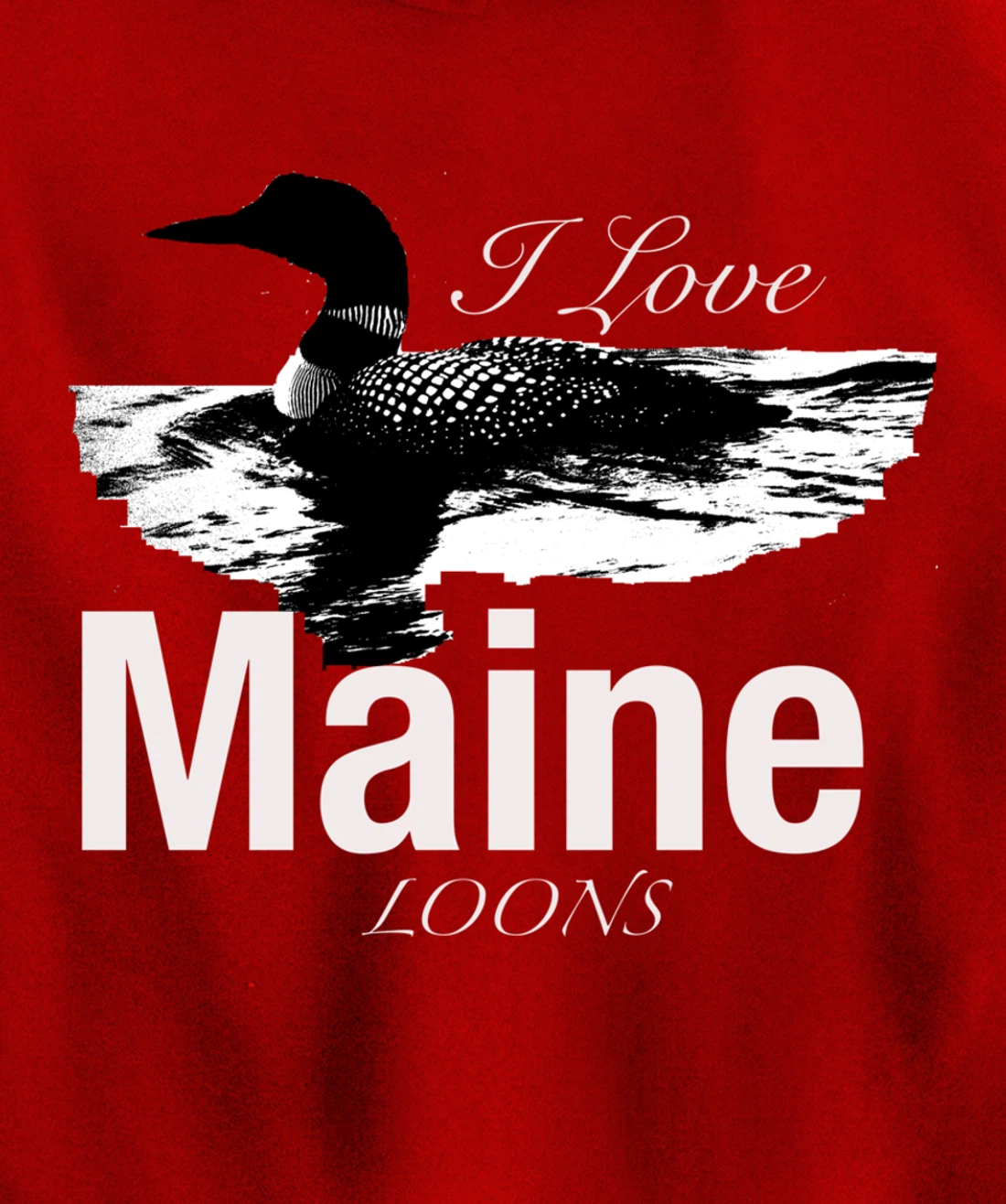 Maine's Lakes And Ponds Loon Apparel Pullover Hoodie