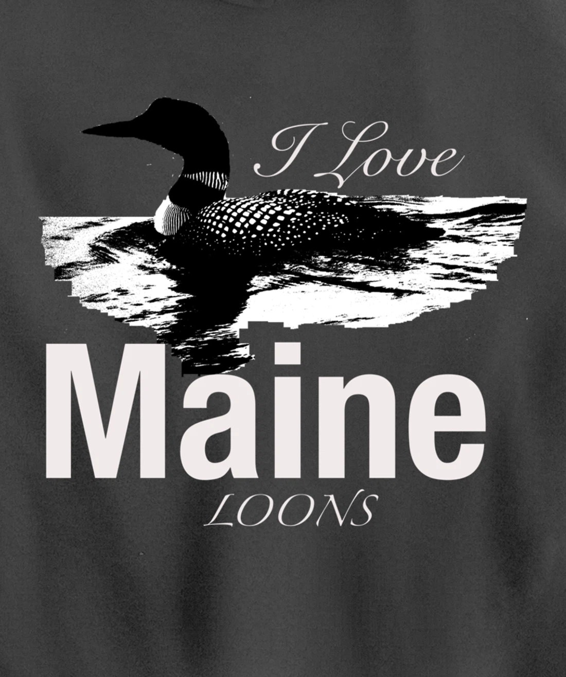 Maine's Lakes And Ponds Loon Apparel Pullover Hoodie