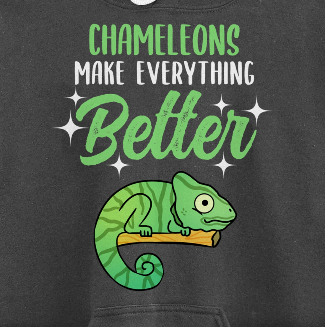 Chameleons Make Everything Better Pullover Hoodie