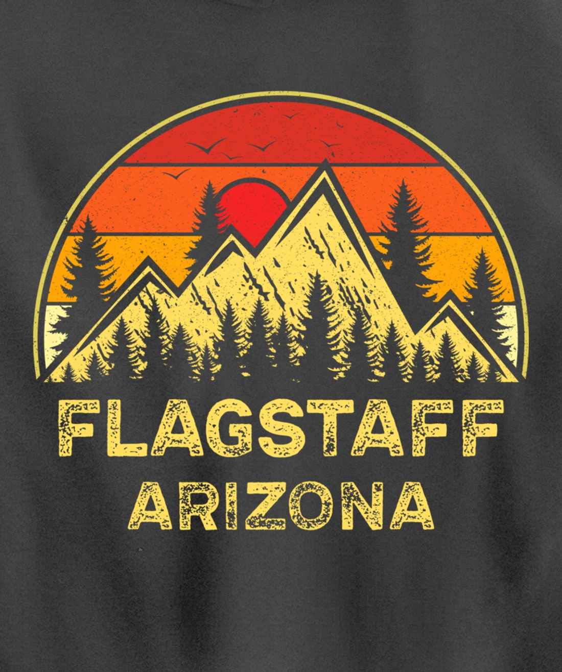 Vintage Flagstaff Arizona AZ Mountains Hiking Souvenir Pullover Hoodie
