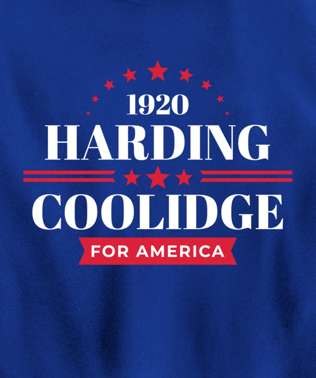 Warren Harding Calvin Coolidge Pullover Hoodie