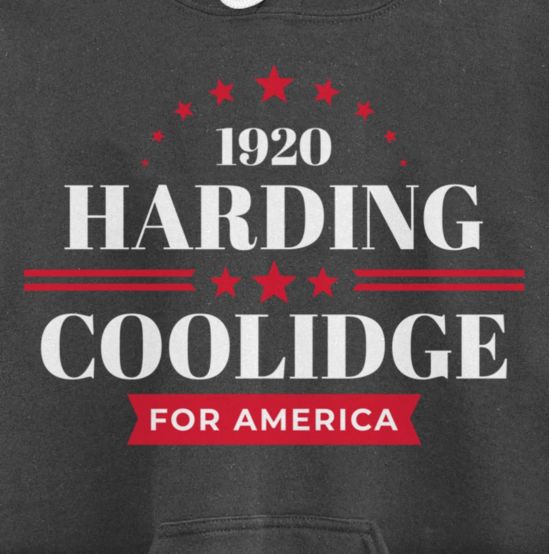 Warren Harding Calvin Coolidge Pullover Hoodie