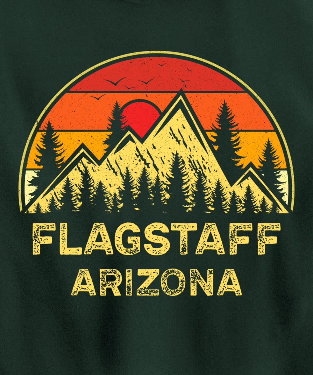 Vintage Flagstaff Arizona AZ Mountains Hiking Souvenir Pullover Hoodie