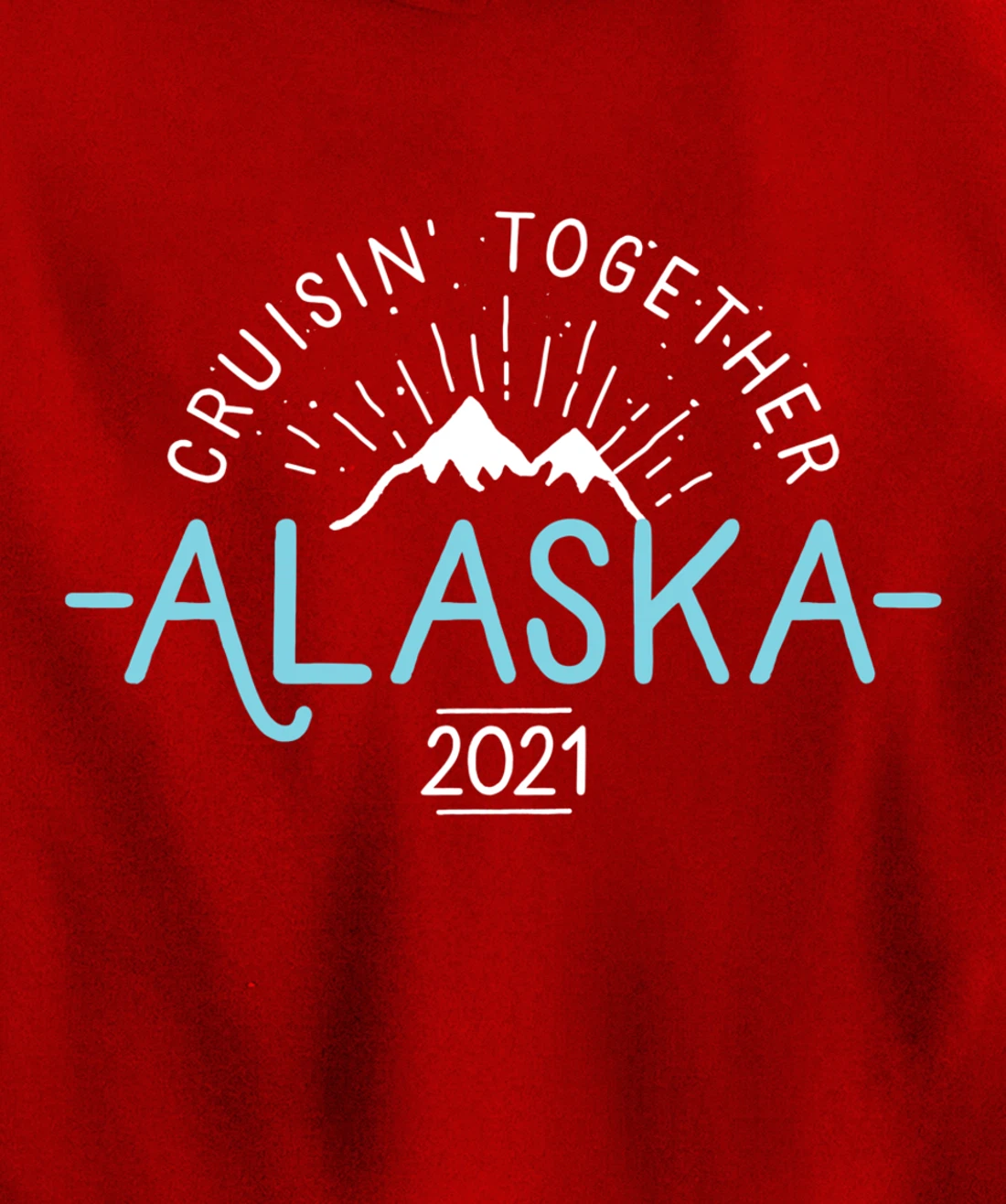 Matching Family Friends & Group Alaska Cruise 2021 Pullover Hoodie