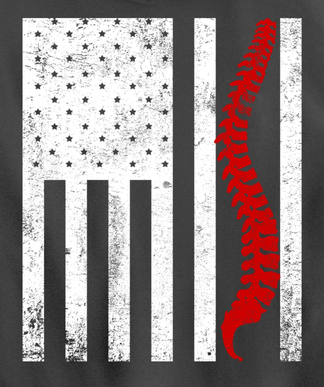 Spine Flag Funny Chiropractic Spinal Care Chiropractor Gift Pullover Hoodie