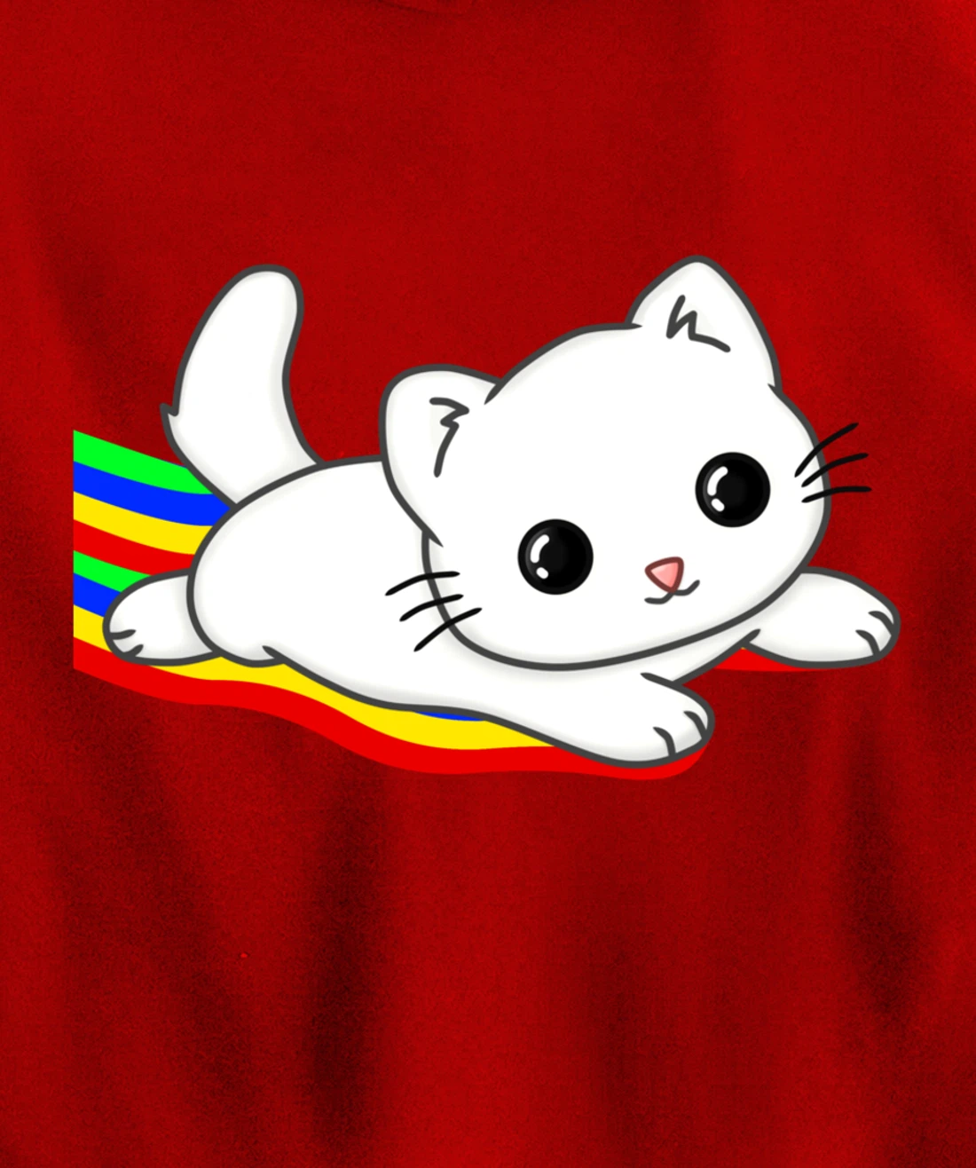 Sliding on a rainbow Cat Tee | Cat Lovers Pullover Hoodie