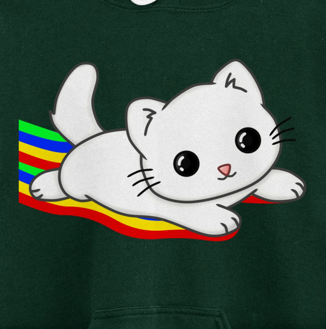 Sliding on a rainbow Cat Tee | Cat Lovers Pullover Hoodie