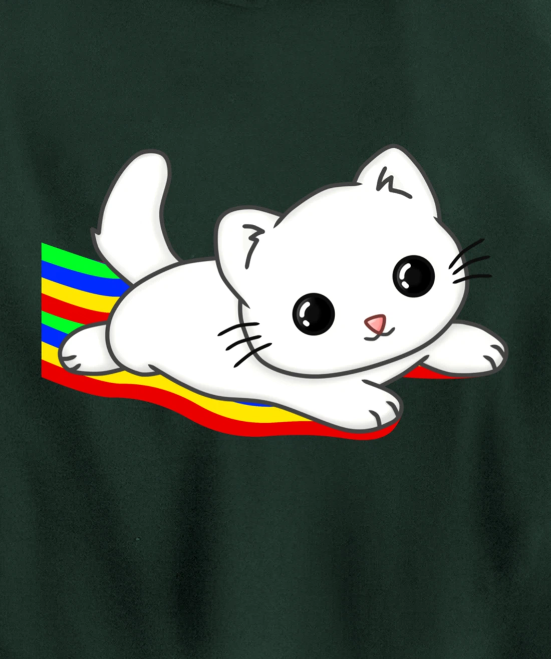 Sliding on a rainbow Cat Tee | Cat Lovers Pullover Hoodie