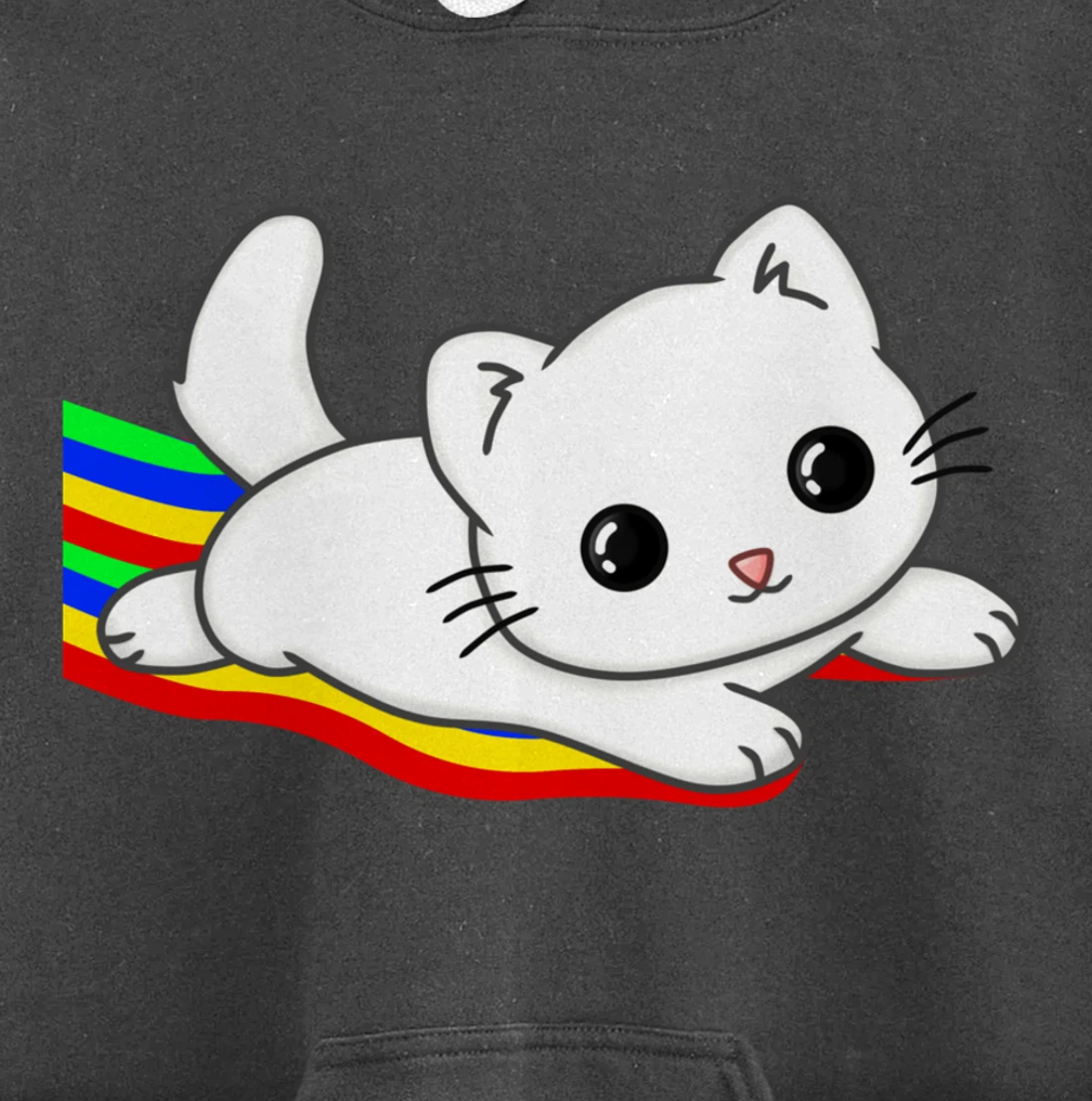 Sliding on a rainbow Cat Tee | Cat Lovers Pullover Hoodie