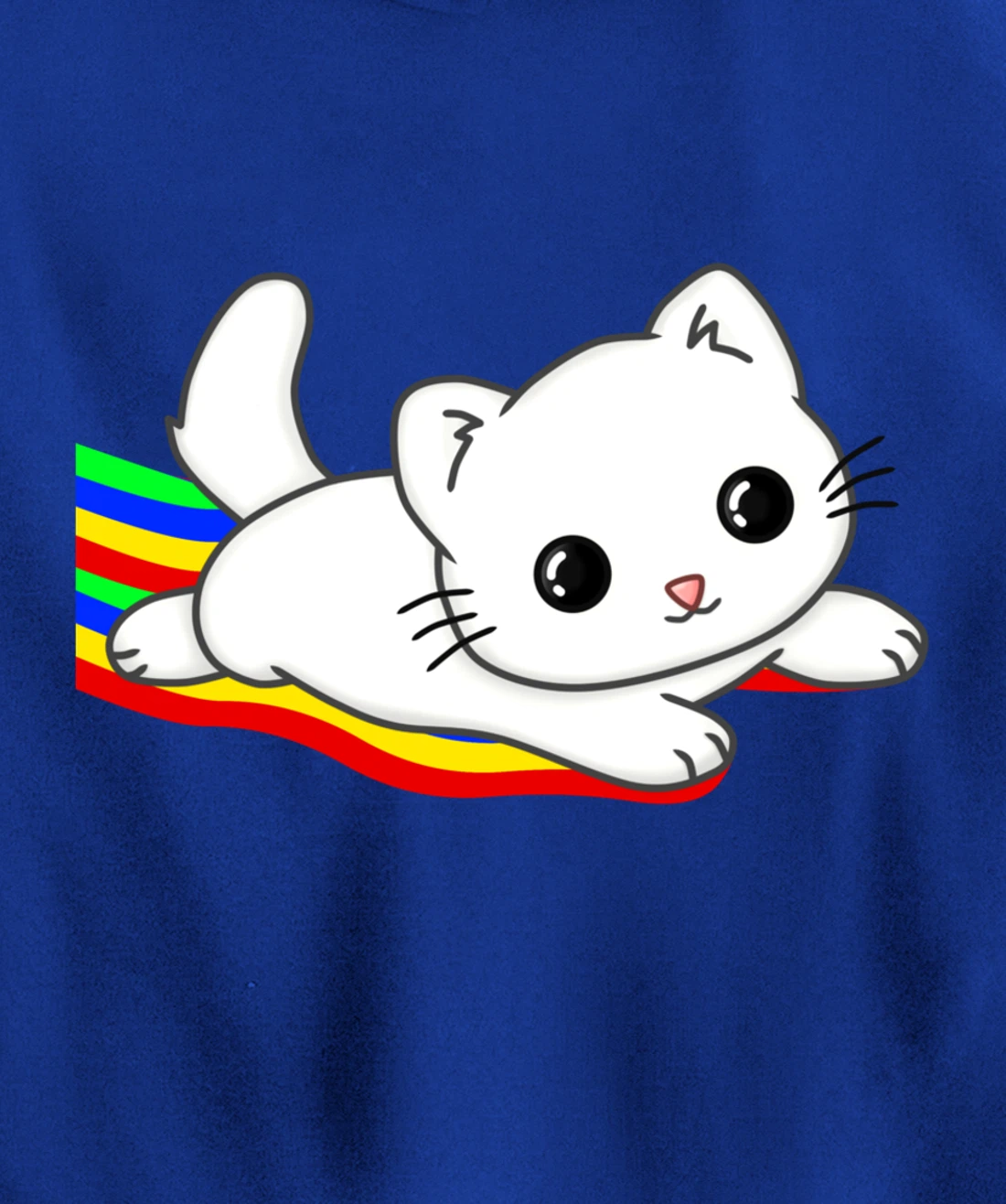 Sliding on a rainbow Cat Tee | Cat Lovers Pullover Hoodie
