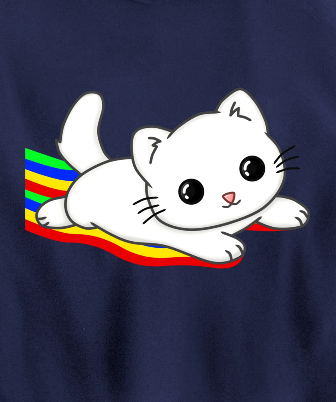 Sliding on a rainbow Cat Tee | Cat Lovers Pullover Hoodie