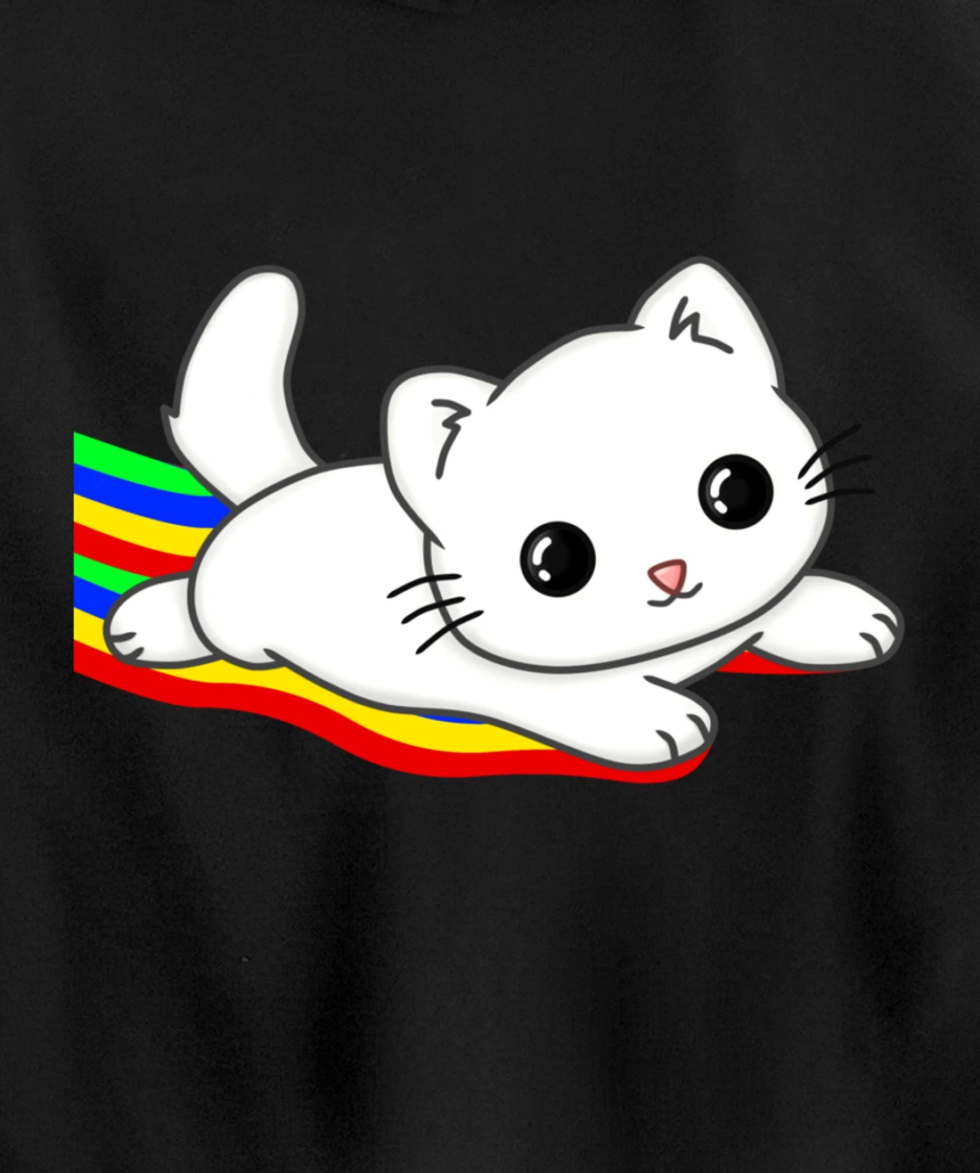 Sliding on a rainbow Cat Tee | Cat Lovers Pullover Hoodie