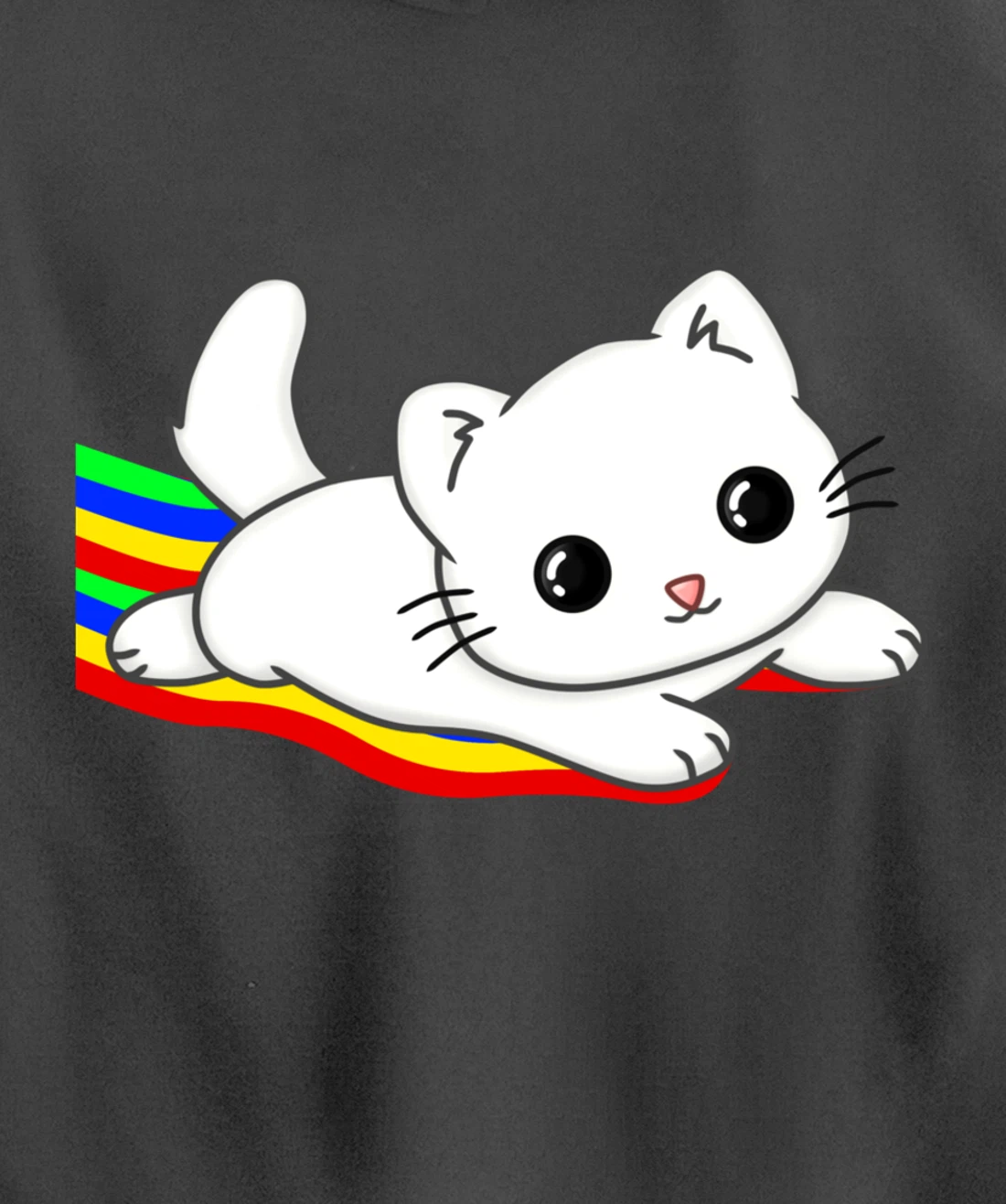 Sliding on a rainbow Cat Tee | Cat Lovers Pullover Hoodie