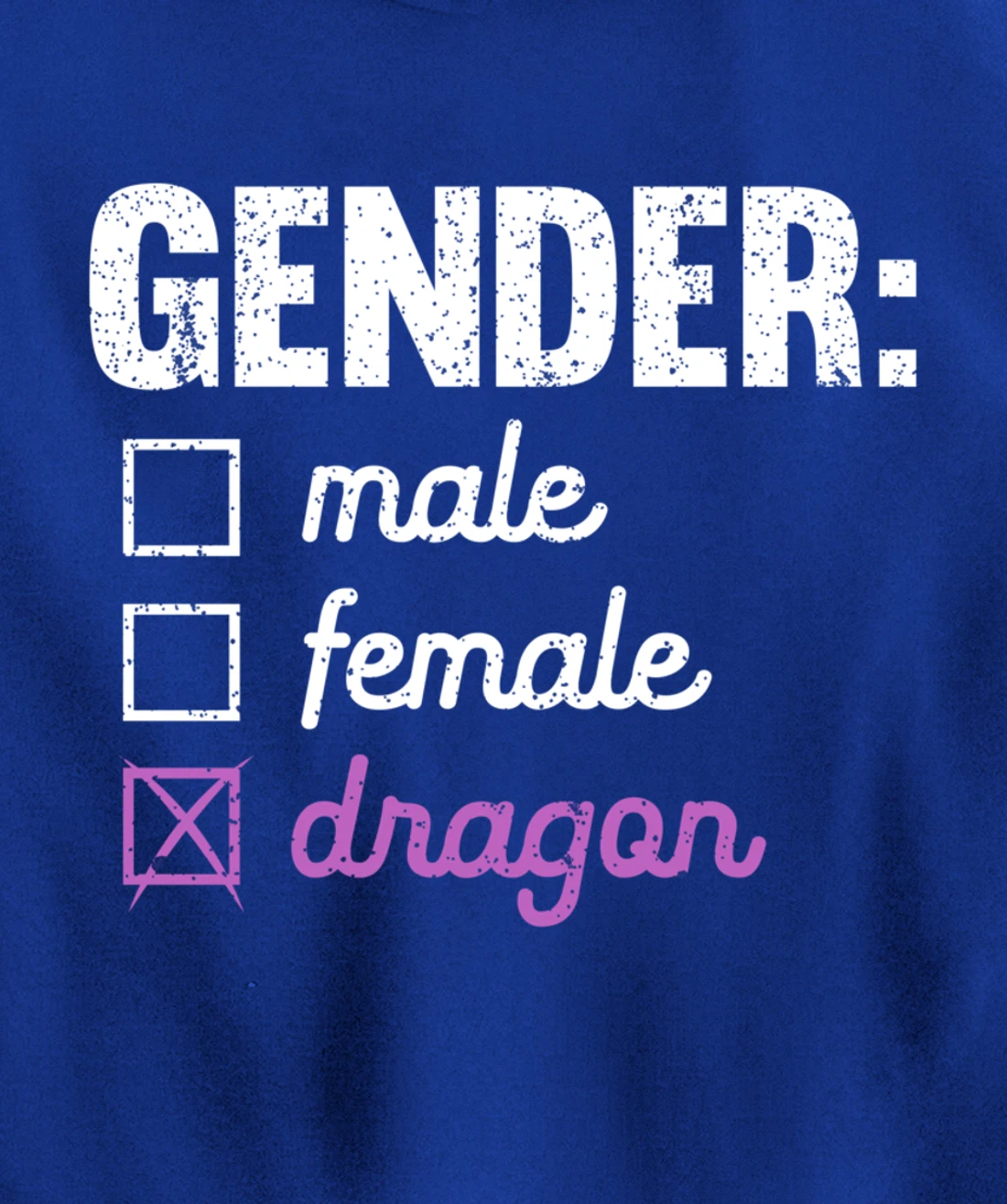 Gender Male Female Dragon Funny Genderfluid Nonbinary Gift Pullover Hoodie