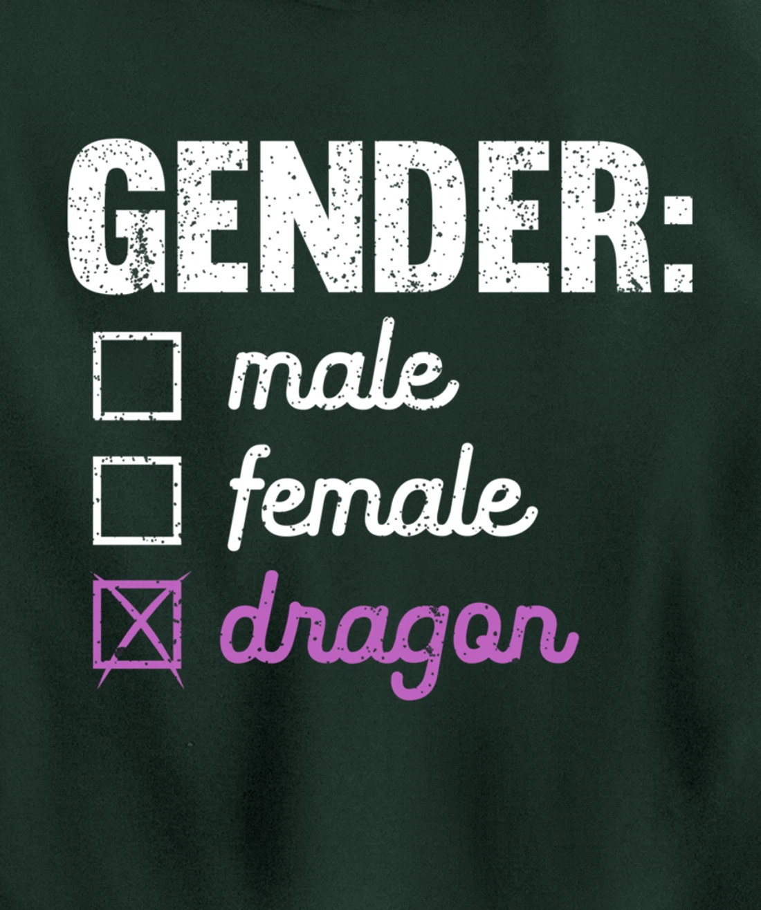 Gender Male Female Dragon Funny Genderfluid Nonbinary Gift Pullover Hoodie