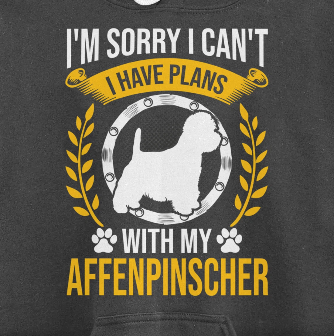 Sorry I Have Plans With My Affenpinscher Dog Lover Pullover Hoodie