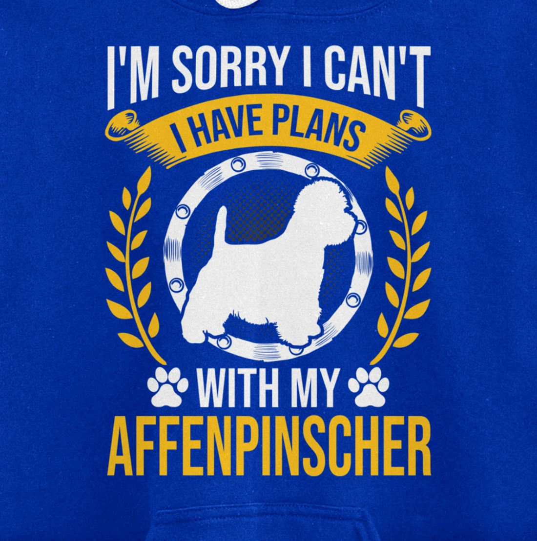 Sorry I Have Plans With My Affenpinscher Dog Lover Pullover Hoodie