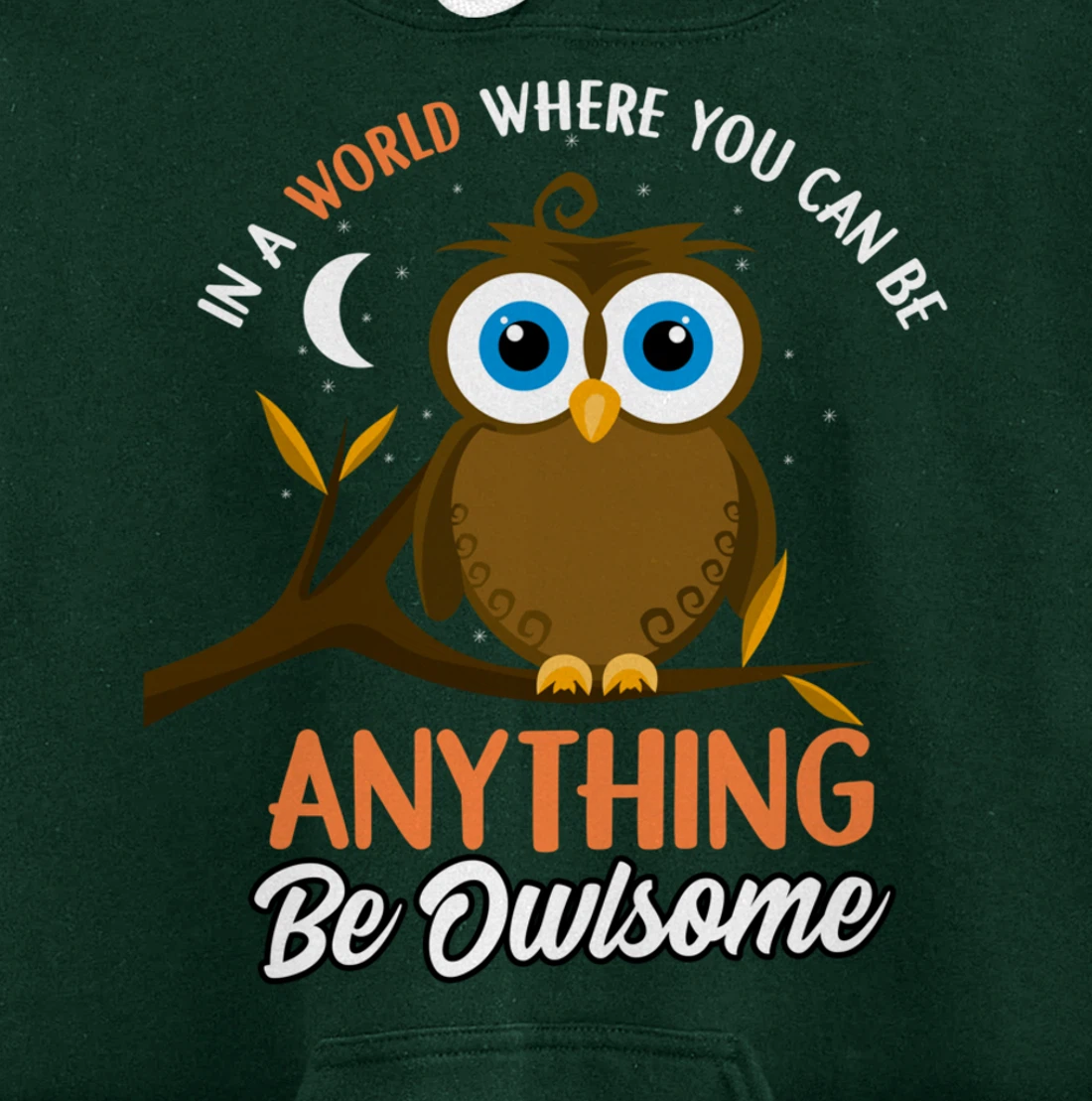Be Owlsome - Funny Owl Bird Lover Gift Pullover Hoodie