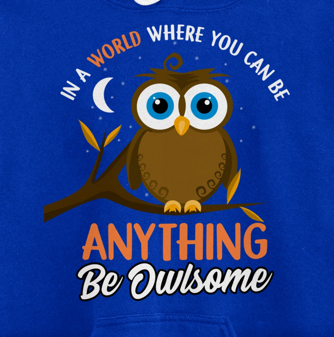 Be Owlsome - Funny Owl Bird Lover Gift Pullover Hoodie