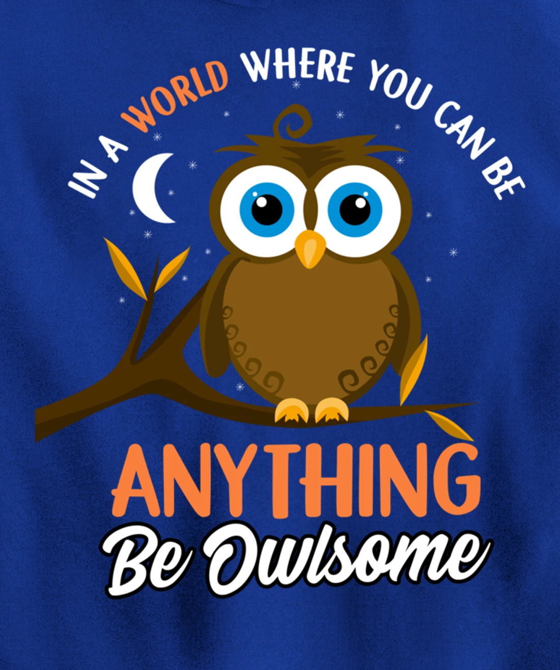 Be Owlsome - Funny Owl Bird Lover Gift Pullover Hoodie