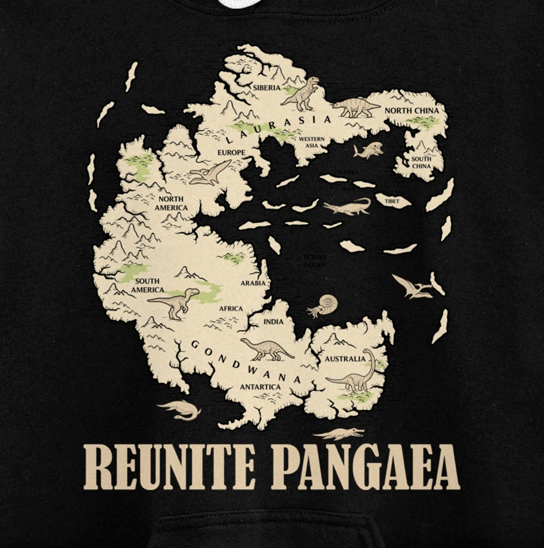 Reunite Pangaea World map History Funny Geology Gift Earth Pullover Hoodie