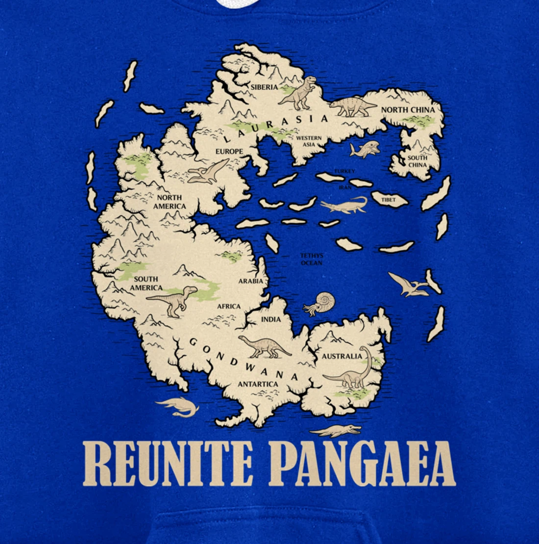 Reunite Pangaea World map History Funny Geology Gift Earth Pullover Hoodie