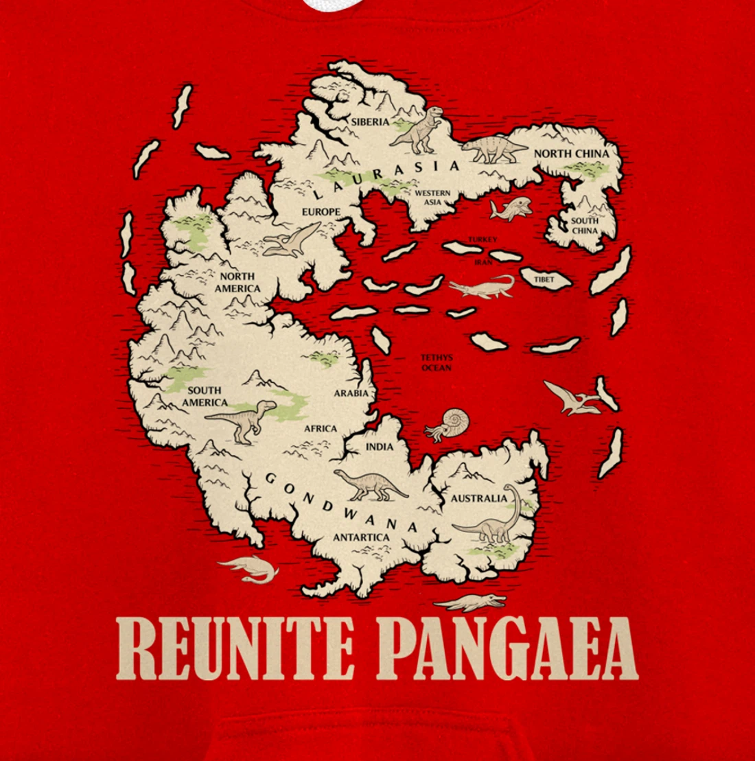 Reunite Pangaea World map History Funny Geology Gift Earth Pullover Hoodie